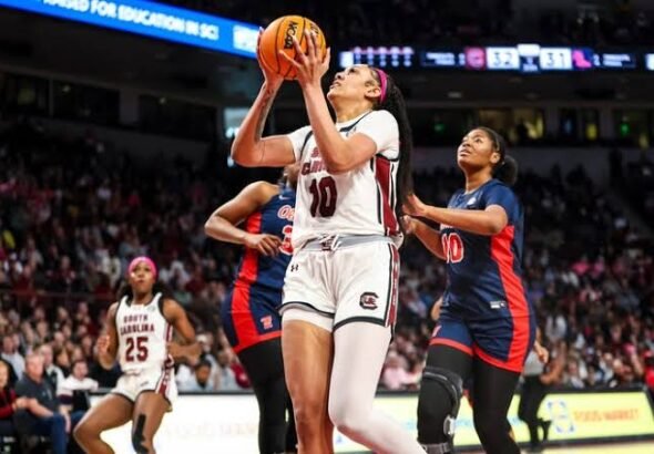 images - 2026-02-23T170227.542