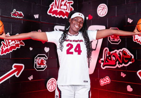 images - 2026-02-25T022144.692