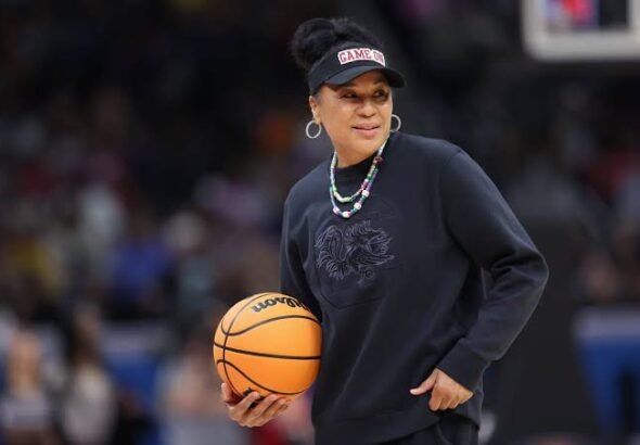 images - 2026-02-25T030659.778