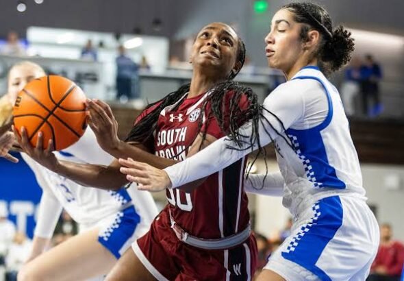 images - 2026-03-01T235128.417