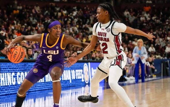 images - 2026-03-07T023212.140