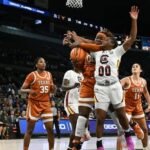 images - 2026-03-08T173100.040