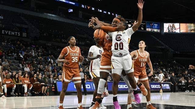 images - 2026-03-10T115611.164